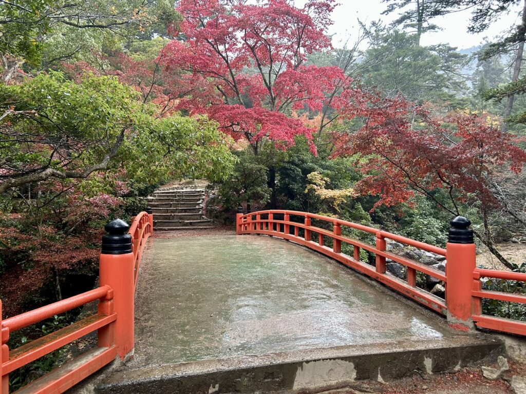 Featured Image Consultoría Japón - Worldreamers